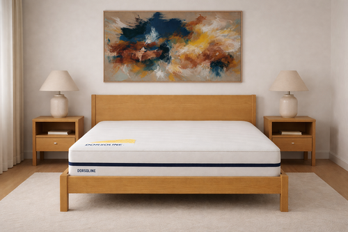 Adam Mattress - 160x200 cm