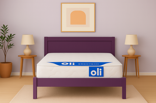 Ergotech Mattress - 160x200 cm