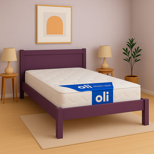 Ergotech Mattress - 160x200 cm