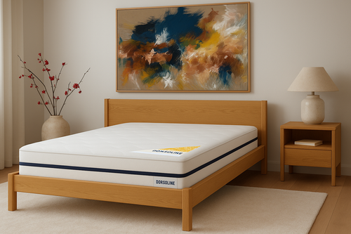 Adam Mattress - 160x200 cm