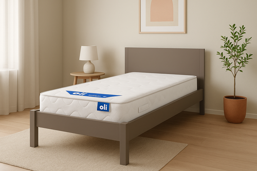 Ergotech Mattress - 90x200 cm