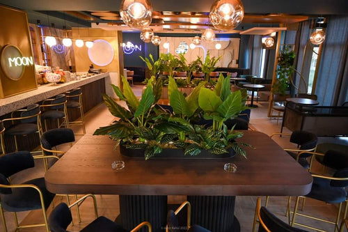 Bosnia and Herzegovina Restaurant Project